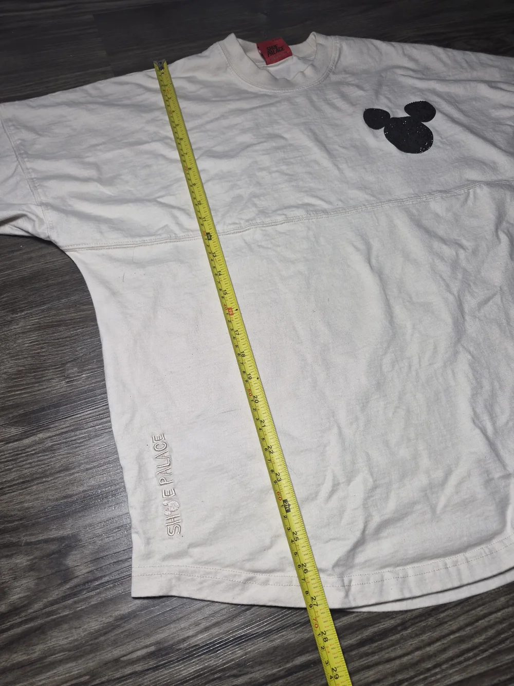 PALACE shoe disney